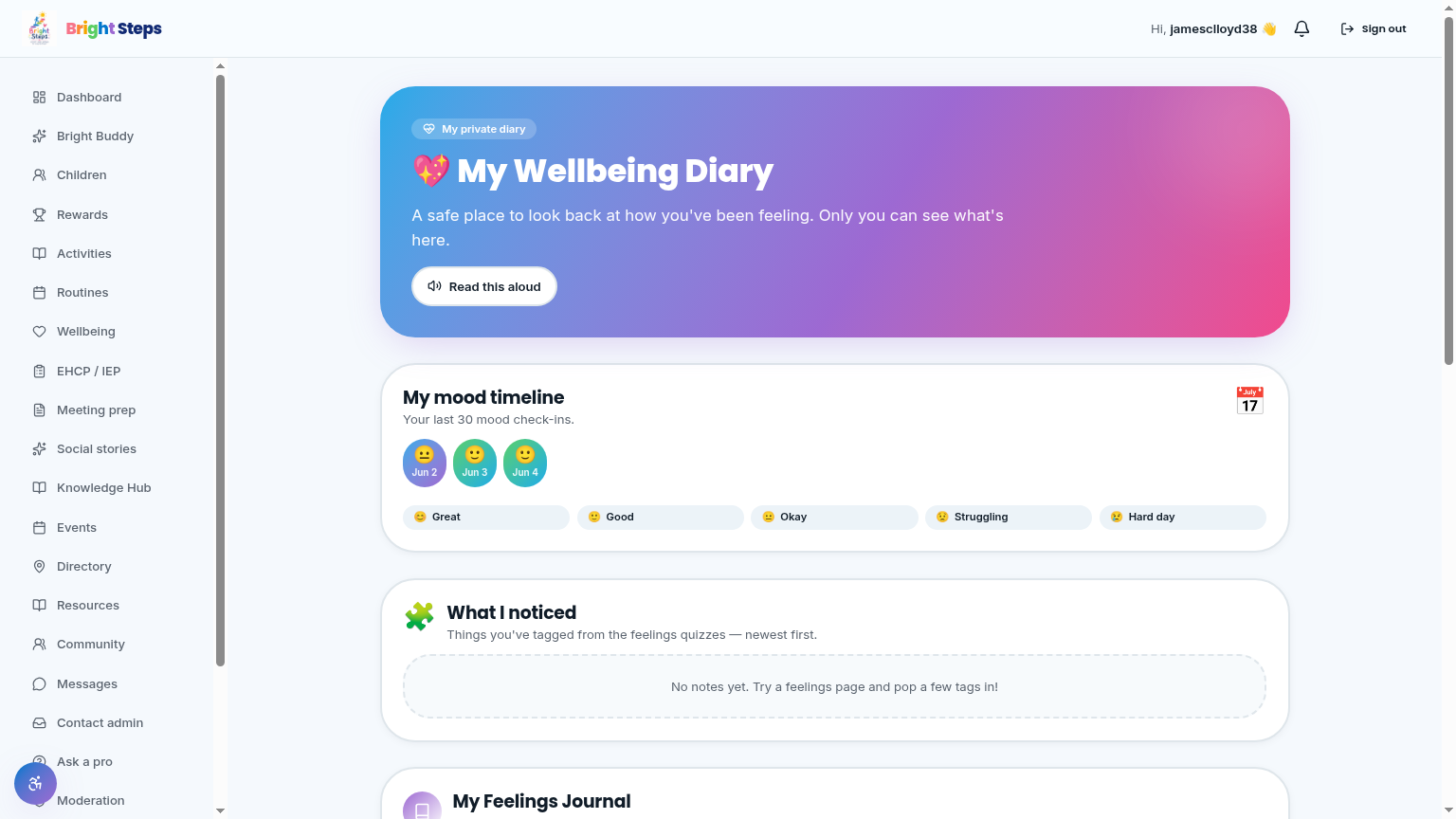 Example layout of the Children & Young Adults dashboard
